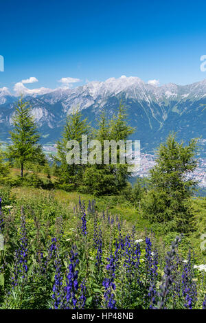 Vista dal Patscherkofel al Nordkette, Innsbruck, in Tirolo, Austria Foto Stock