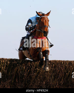 Tenor Nivernais cavalcato da Liam Treadwell cancella un inizio di recinto prima di andare a vincere la Keltbray Swinley Chase eseguito durante il Betfair Chase Raceday a Ascot Racecourse. Foto Stock