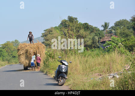 Palolem, India - 22 Ottobre 2015 - la gente la raccolta e il trasporto di fieno sulla strada indiano Foto Stock