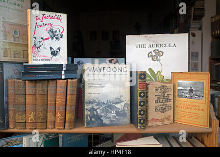 Vintage di libri in vendita in una libreria di seconda mano a Edimburgo, Scozia, Regno Unito