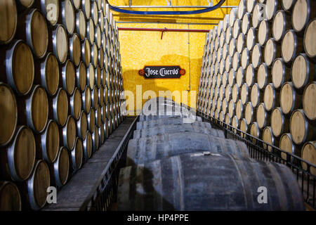 Botti di maturazione, distilleria Jose cuervo tequila, tequilera, nel villaggio di tequila, Messico Foto Stock