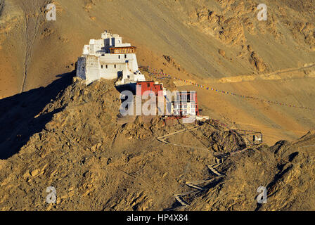 Namgyal Tsemo Monastero a Leh, Ladakh, India Foto Stock