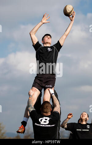 A nord del Dorset RFC 2° XV vs Wimborne RFC 2a XV. Sabato, 18 Febbraio 2017 - Gillingham, Dorset, Inghilterra. Wimborne giocatore cattura la sfera in linea. Foto Stock