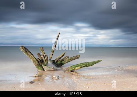 Via Fiume, UK. 18 Febbraio, 2017. Naufragio all Longniddry Bents nei pressi di Edimburgo Credito: ricca di Dyson/Alamy Live News Foto Stock