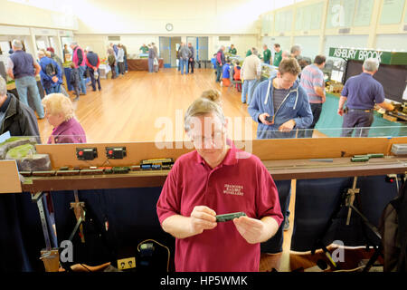 Reigate, Surrey, Regno Unito. 19 Feb, 2017. Modellino ferroviario mostrano Reigate Surrey xix Febbraio 2017 Credit: EYESITE/Alamy Live News Foto Stock