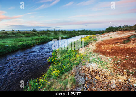 I pittoreschi paesaggi di foreste e montagne Islanda Foto Stock