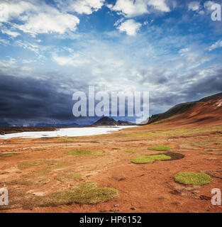I pittoreschi paesaggi di foreste e montagne Islanda Foto Stock