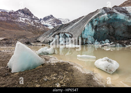 Ghiacciaio grande pezzi al Ghiacciaio Athabasca sulla Icefield Parkway, Jasper National Park, Alberta, Canada Foto Stock