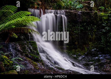 Cascate Horseshoe, Mt. Campo Parco Nazionale, Tasmania, Australia Foto Stock