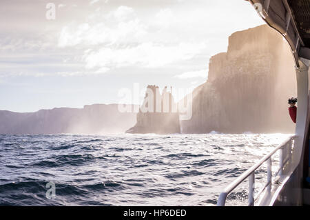 Vista dal tour in barca sull'isola di Tasmania, Tasmania, Australia Foto Stock