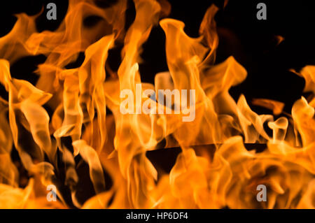 Un close-up di intense fiamme in un incendio Foto Stock