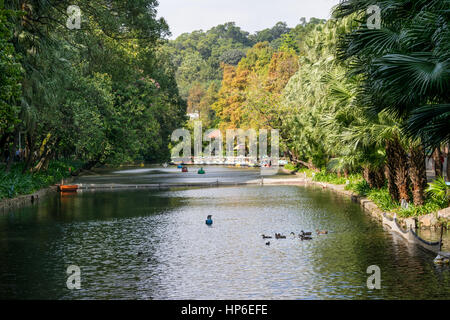 Parco Yuexiu a Guangzhou, Cina Foto Stock