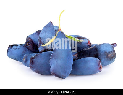 Caprifoglio fresco blue berry frutti isolati su sfondo bianco. Caprifoglio woodbine lonicera closeup Foto Stock