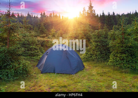 Vista della tenda nella foresta al tramonto o l'alba. Camping sfondo. Campeggio e tenda. Tenda turistica nella verde pineta con raggi solari al campeggio Foto Stock