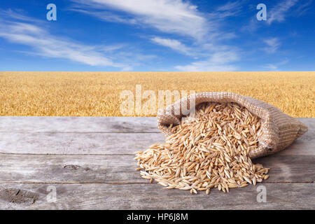 Grani di Avena sul tavolo di legno con il campo sullo sfondo. Campo mature, cielo blu con nuvole bello. Crema di farina e di latte crudo. Chicco di avena con la buccia Foto Stock