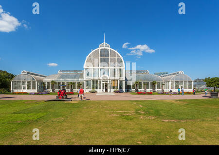 Serra delle palme nel giardino della società di Göteborg Foto Stock