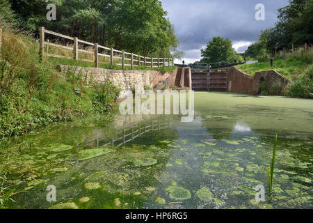 Griffin's Mill Lock on Thames & Severn Canal Brimscombe, Stroud, Gloucestershire Foto Stock