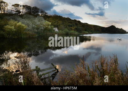 Fango Loch in St Abbs Head riserva naturale Foto Stock