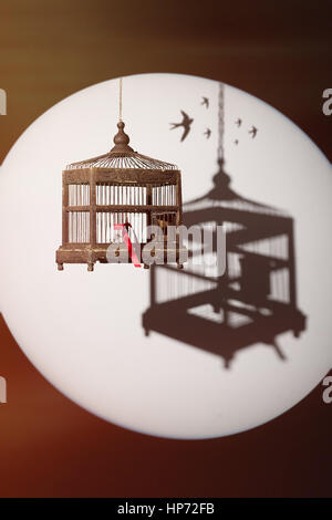 Antique Edwardian birdcage, aprire lo sportello legate con un nastro rosso con ombra e uccelli in volo silhouette in background Foto Stock