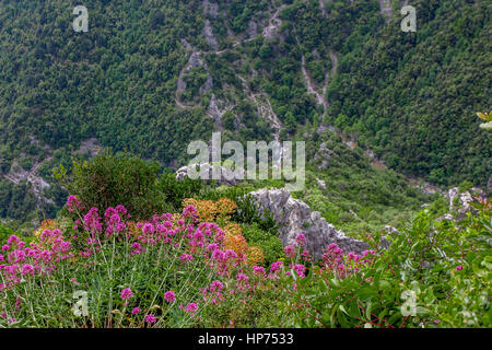 La splendida vista dal monte Olimpo e il Parco nazionale di circa Foto Stock