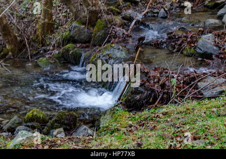 Bella moto sfocata flusso acqua orizzontale nella foresta di inverno vicino Monte Vitosha, Bulgaria Foto Stock