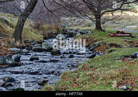 Bella moto sfocata flusso acqua orizzontale nella foresta di inverno vicino Monte Vitosha, Bulgaria Foto Stock