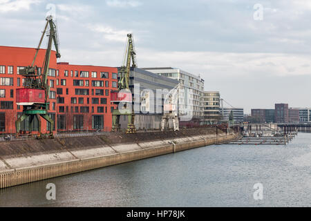 Il porto interno con gru portuali a Duisburg, Germania Foto Stock