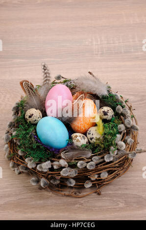Decorazioni per la Pasqua. Bird's Nest con moss rivestita con piume, uova colorate e i rami di salici Foto Stock