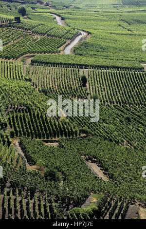 Vue aérienne sur le vignoble Autour du village. Kaysersberg. F 68 Foto Stock