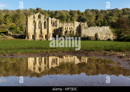 Le riflessioni di Rievaulx Abbey in stagno, Ryedale, North Yorkshire Foto Stock