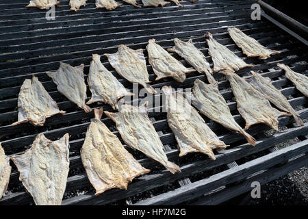 "Il pesce si sfalda', pesce di essiccazione su telai di legno a Mystic Seaport in Mystic, Connecticut, Stati Uniti. Foto Stock