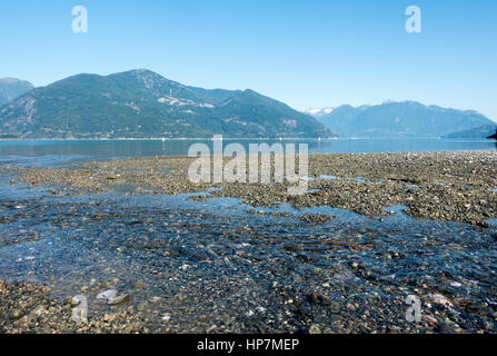 Marea è fuori a Porteau Cove Parco Provinciale, Squamish, British Columbia, Canada Foto Stock