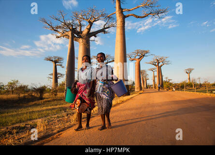 Donne malgasce al viale dei baobab, Morondava, Baobab Alley, Adansonia grandidieri, occidentale del Madagascar, da Monika Hrdinova/Dembinsky Foto Assoc Foto Stock