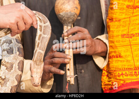 Snake,incantatore,turisti,Varanasi,Benares,Hindu,religiosi,capitale,sacro Fiume,,Gange, banche,d,santo,bagno,ghats,,Uttar Pradesh,l'India,Indian,Asia,asiatica, Foto Stock