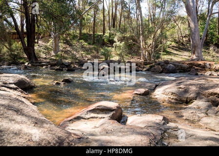 Un piccolo ruscello che scorre attraverso la John Forrest National Park, Australia occidentale Foto Stock