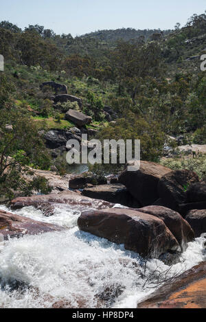 Una vista di John Forrest Parco Nazionale di Valley dalla parte superiore delle cascate, Australia occidentale Foto Stock