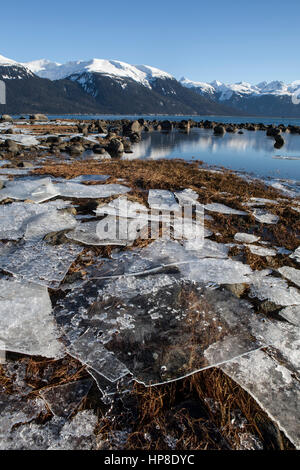 Grandi Ghiaccio traslucido sheeet bloccati sulla spiaggia a Portage Cove vicino Haines Alaska dalle maree in continuo aumento in una giornata di sole. Foto Stock