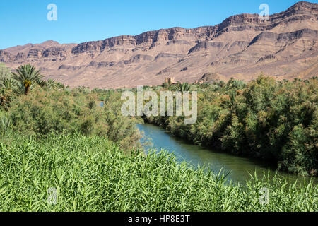 Valle del fiume Draa Marocco Fiume Draa scena. Foto Stock