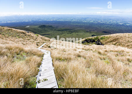 Scale sulla strada per il Monte taranaki, Egmont National Park, Taranaki, Nuova Zelanda Foto Stock