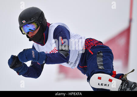 Hokkaido, Giappone. Xx Febbraio 2017. Yuya Suzuki (JPN) Snowboard : Slalom Speciale maschile durante il 2017 Sapporo dei Giochi Invernali Asiatici a Sapporo Teine in Hokkaido, Giappone . Credito: AFLO SPORT/Alamy Live News Foto Stock