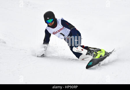 Sapporo, Giappone. Xx Febbraio 2017. Medaglia di argento Suzuki Yuya del Giappone compete durante il maschile di slalom snowboard concorso al 2017 Sapporo dei Giochi Invernali Asiatici a Sapporo, in Giappone, il 20 febbraio, 2017. Credito: Xia Yifang/Xinhua/Alamy Live News Foto Stock