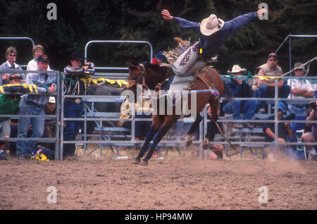 UN CAVALIERE VIENE DERISO DAL SUO CAVALLO DURANTE UN RODEO NEL NUOVO GALLES DEL SUD, AUSTRALIA. Foto Stock