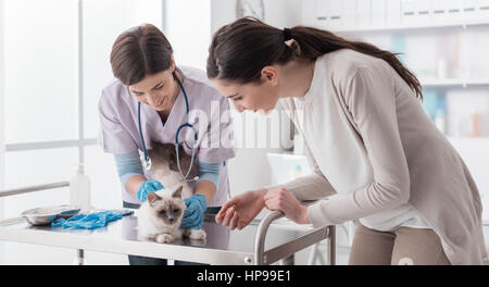 Veterinario professionale a lavorare presso la clinica veterinaria, lei sta esaminando un gatto sulla tabella medica dell'esame, il proprietario dell'animale è assistere e sm Foto Stock