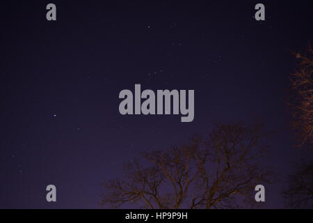 Una lunga esposizione del cielo notturno con le stelle visibili e gli alberi in primo piano e sullo sfondo. Foto Stock