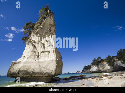 Neuseeland, nordinsel, halbinsel coromandel, Cove della cattedrale Foto Stock