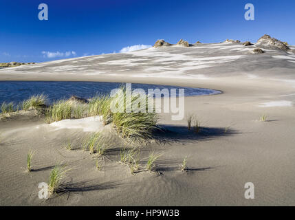 Neuseeland, suedinsel, Golden Bay, duenen von Farewell Spit Foto Stock