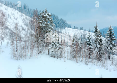 In inverno le montagne dei Carpazi sopito paesaggio con bosco di abeti su pendii. Foto Stock