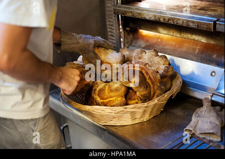 Close-up baker maschio mani guanti in assunzione di pane fresco di forno ant mettendolo in cesto in vimini Foto Stock