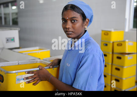 INDIA Tirupur , commercio equo unità tessili , MLR filanda/ INDIEN Tamil Nadu, Tirupur, fairtrade Textilbetriebe , Spinnerei MLR produziert granato fuer Assisi gli indumenti Foto Stock