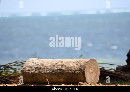 Pezzo di tronco di palma in posa di fronte all'Oceano Indiano a Bamburi in Kenya Foto Stock